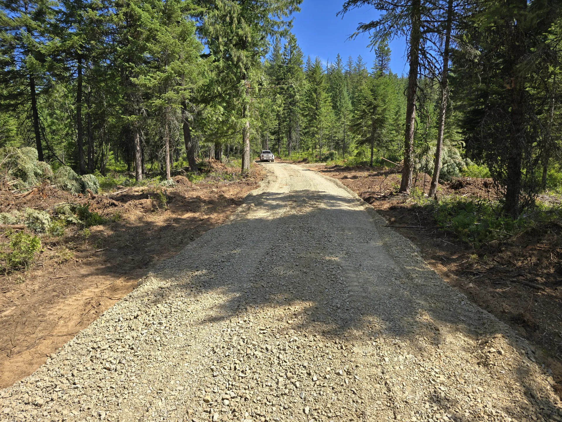 New gravel road cut through North Idaho forest on a sunny day