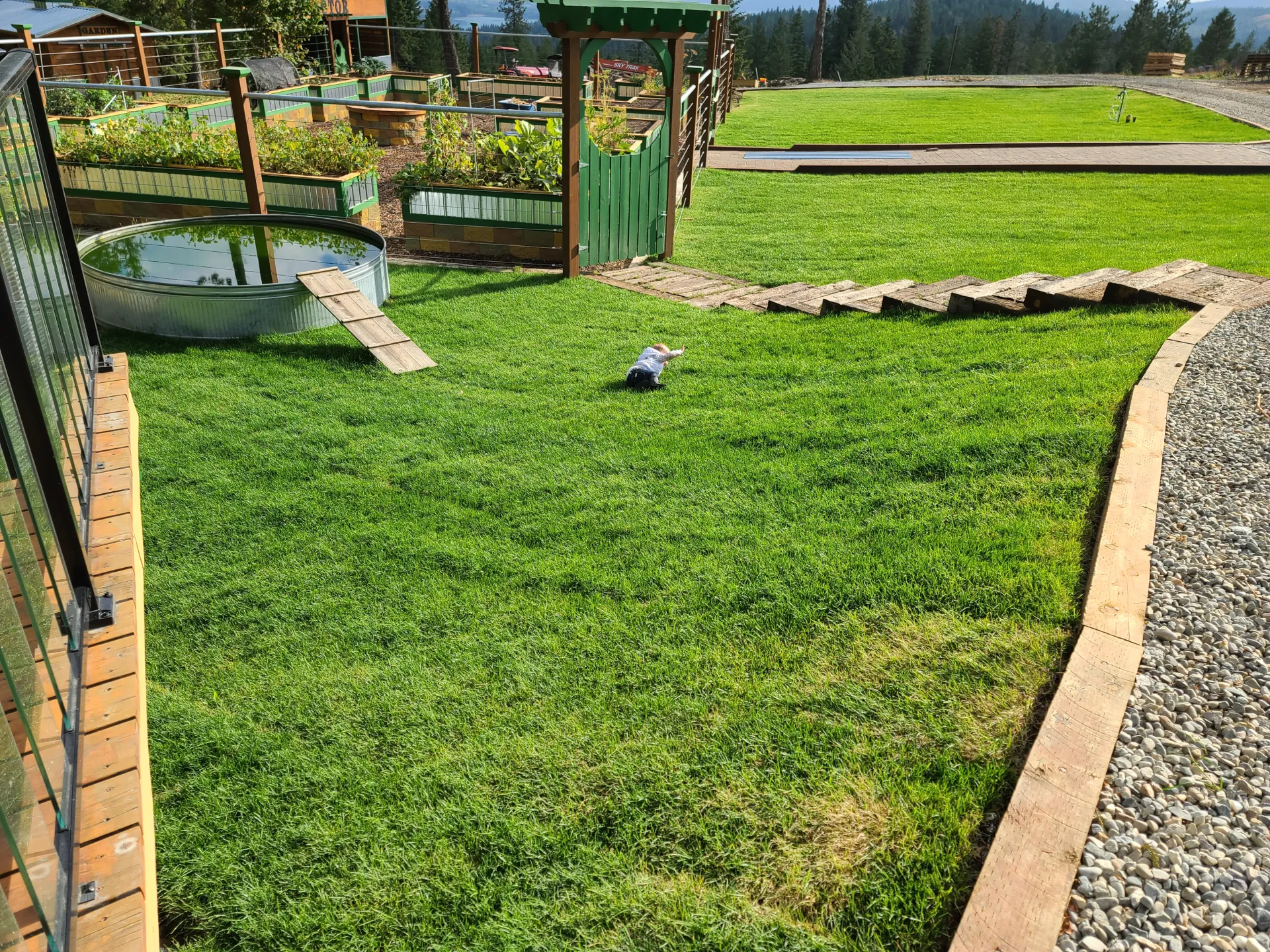 Beautiful green sod installation with landscaped yard